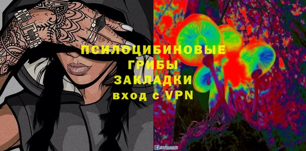 сатива Алексеевка